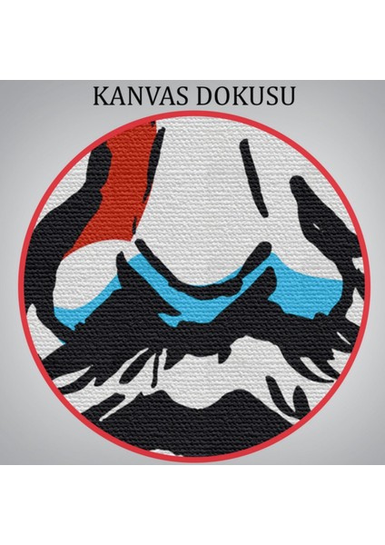 Platon Filozof Dekoratif Kanvas Tablo, Duvar Dekoru 5970