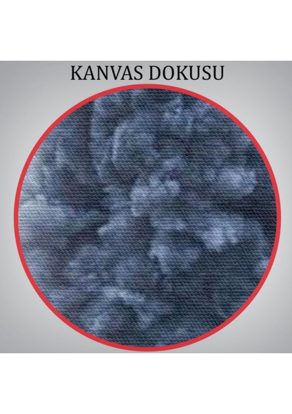 Kara Tren ve Gri Dumanı Dekoratif Kanvas Tablo, Duvar Dekoru 6015