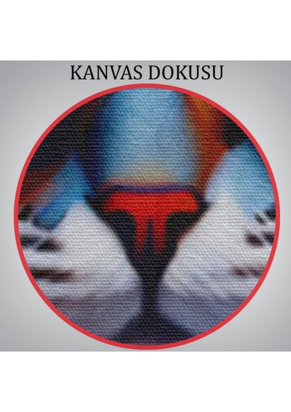 Karizmatik Kedi Hayvan Temalı Dekoratif Kanvas Tablo, Duvar Dekoru 6225