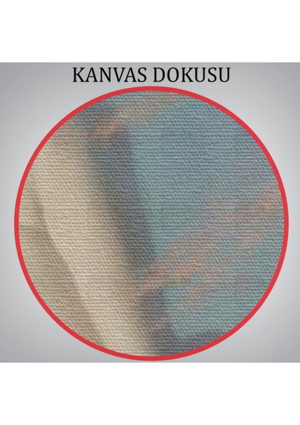 Selene Eseri Albert Aublet Dekoratif Kanvas Tablo, Duvar Dekoru 6345