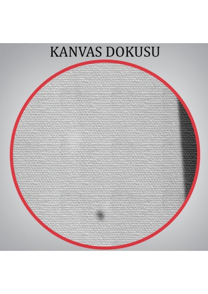 Mustafa Kemal Atatürk Portresi Dekoratif Kanvas Tablo, Duvar Dekoru FÖ139
