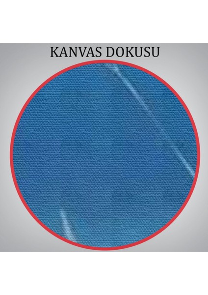 Köpek Balığı Gezdiren Kadın Dekoratif Kanvas Tablo, Duvar Dekoru 6482