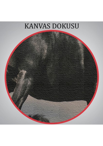Şahlanan Siyah At Dekoratif Kanvas Tablo, Duvar Dekoru 6620