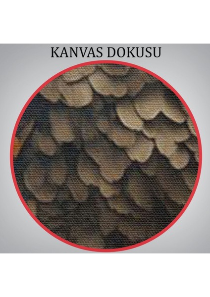 Baykuş Hayvan Temalı Dekoratif Kanvas Tablo, Duvar Dekoru 6485
