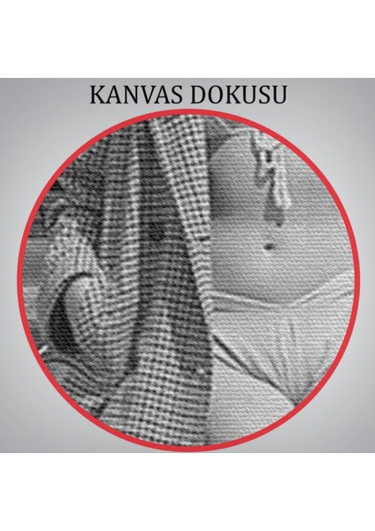 Marilyn Monroe ve Güzelliği Dekoratif Kanvas Tablo, Duvar Dekoru 6523