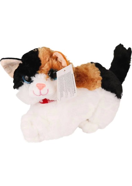 Bfs KZL-1609032 Peluş Miyavlayan Kedi -Kızılkaya Oyuncak modelleri