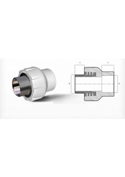 Ege Yıldız Pprc 50X1 1/2 Erkek Adaptör Gri