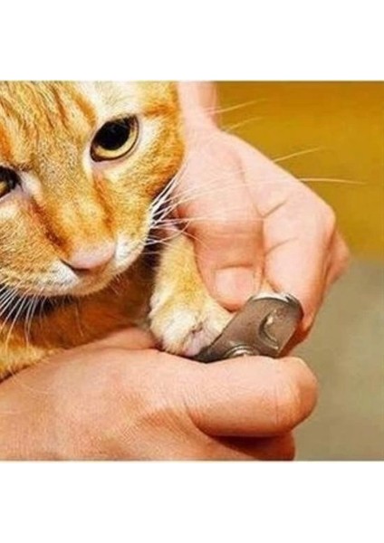 Evcil Hayvan Tırnak Makası ve Törpü Seti Manikür Pedikür Pati Bakım Aleti Kaymaz Sap fırsatları