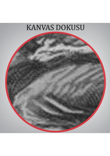 Süpürgeli Yaşlı Cadı ve Kedisi, Cadılar Bayramı Dekoratif Kanvas Tablo, Duvar Dekoru 6304