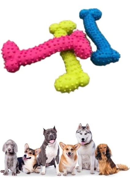Bfs Tiny Kemik Oyuncağı Tırtıklı Yüzey Küçük Kemik Plastik Köpek Oyuncağı indirimleri