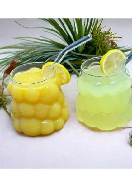 Renkli 3'lü Cam Set, Bambu Kapaklı, Vakumlu Yağlık ve Sirkelikler modelleri