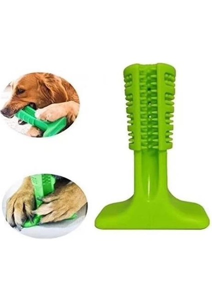 Bfs Köpek Diş Temizleyici ve Kaşıyıcı Sağlıklı Küçük Boy Oyuncak