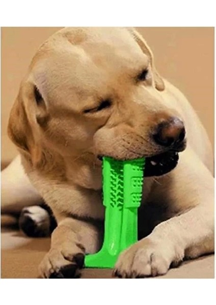 Bfs Köpek Diş Temizleyici ve Kaşıyıcı Sağlıklı Küçük Boy Oyuncak