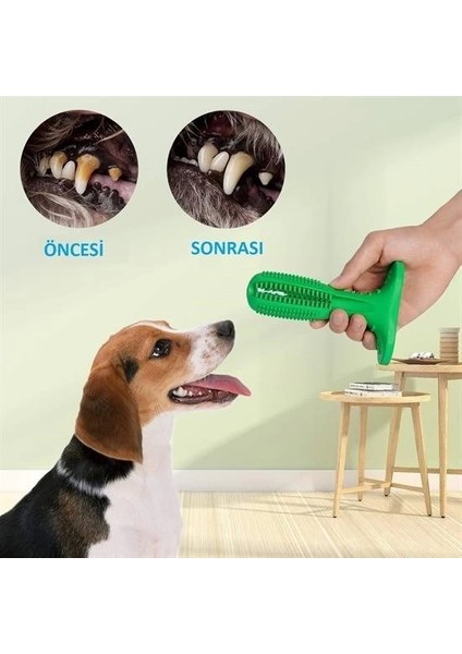 Bfs Köpek Diş Temizleyici ve Kaşıyıcı Sağlıklı Küçük Boy Oyuncak