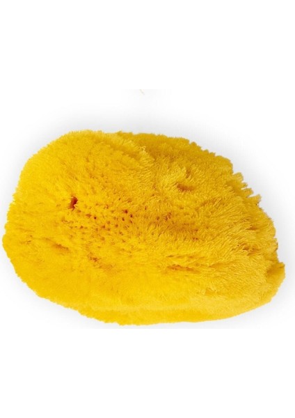 Doğal Akdeniz Deniz Süngeri, %100 Saf ve Doğal, El Yapımı, Tazecik, Kaliteli Ürün