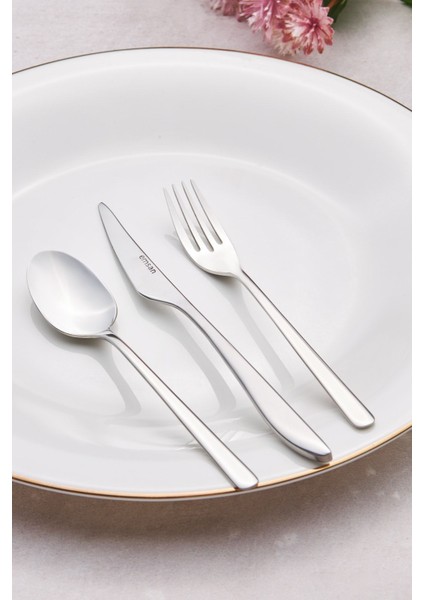 Şık 18 Parça 6 Kişilik Tatlı Çatal Kaşık Bıçak Seti Gümüş fiyatları