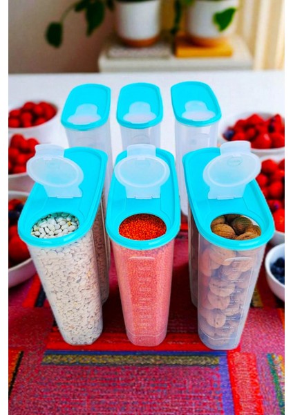 6'lı Set 6 Litre Saklama Kabı, Antrasit ve Su Yeşili, Şık Kiler Kutusu indirimleri