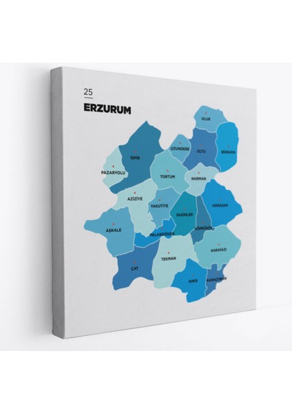 Il ve Ilçeler Haritası Erzurum, Modern Dekoratif Kanvas Tablo, Duvar Dekoru 1338