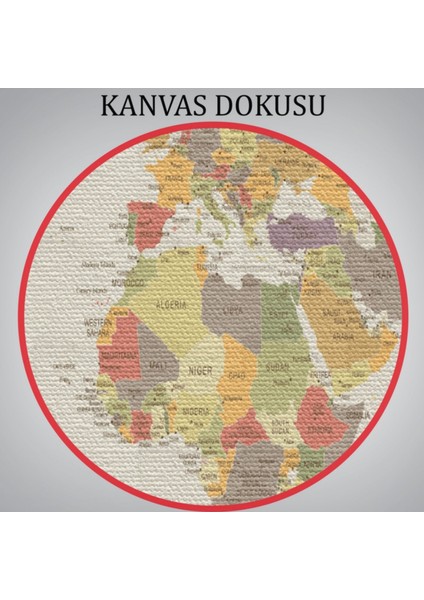 Beyaz Zemin Soft Renkler Ingilizce Dünya Haritası Dekoratif Kanvas Tablo, Duvar Dekoru 1073