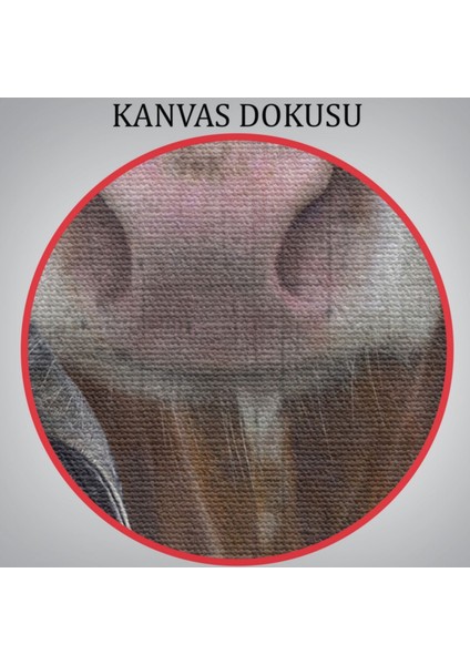 Insan Görünümlü Inek Pop Art Mizah Dekoratif Kanvas Tablo, Duvar Dekoru 4997