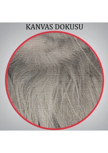 Insan Görünümlü Kedi Dekoratif Kanvas Tablo, Duvar Dekoru 4985