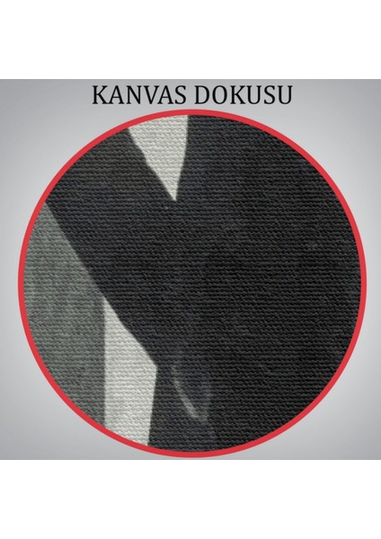 Mustafa Kemal Atatürk Portresi Dekoratif Kanvas Tablo, Duvar Dekoru CT72