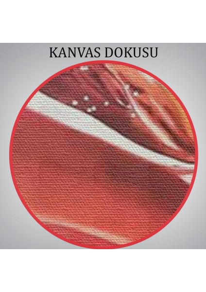 Sualtında Yüzen Cesur Güzel Kadın Dekoratif Kanvas Tablo, Duvar Dekoru 5873