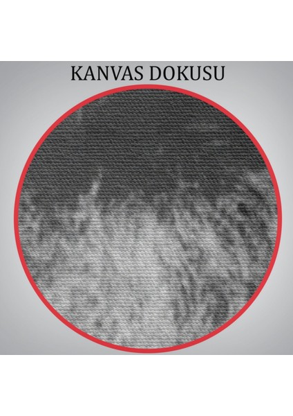 Karl Marx Alman Filozof Siyah Beyaz Dekoratif Kanvas Tablo, Duvar Dekoru 5964