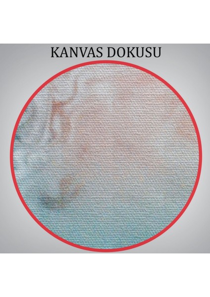 Sualtı ve Kadın Dekoratif Kanvas Tablo, Duvar Dekoru 6202