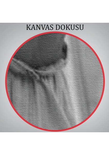 Umrumda Değil Haraketi Beyonce Dekoratif Kanvas Tablo, Duvar Dekoru 6033