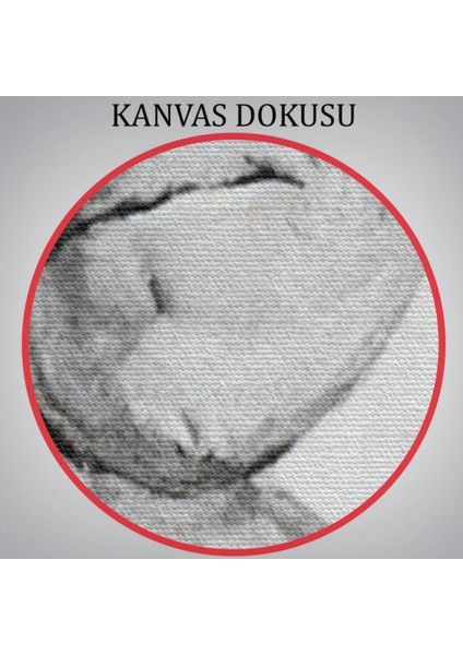 Arthur Schopenhauer Portre Dekoratif Kanvas Tablo, Duvar Dekoru 6266