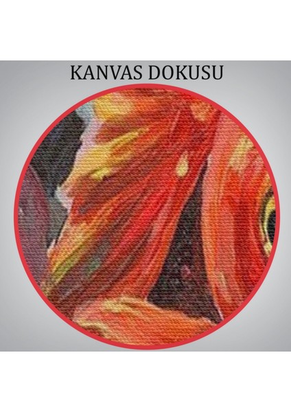 Japon Balığı ve Kırmızı Rujlu Dudak Dekoratif Kanvas Tablo, Duvar Dekoru 6293