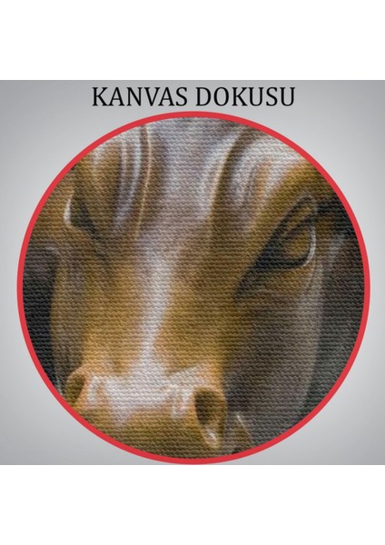 Boğa Heykeli Charging Bull Newyork Dekoratif Kanvas Tablo, Duvar Dekoru 5160