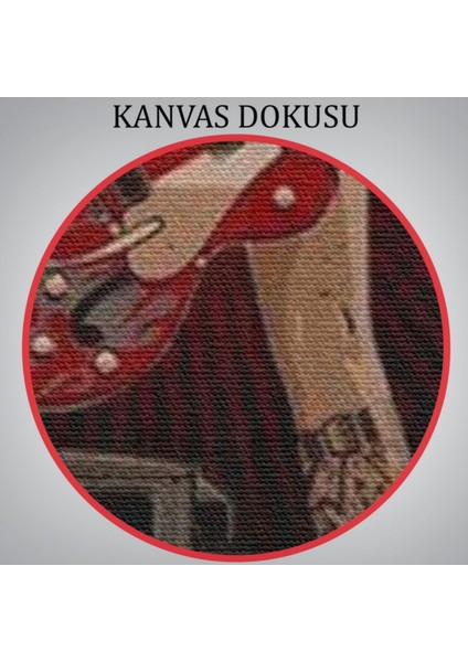 Kadın Müzisyen Dekoratif Kanvas Tablo, Duvar Dekoru 6496