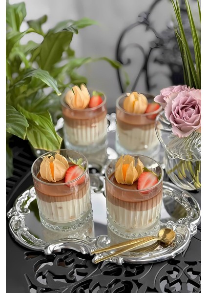 Şık Paslanmaz Çelik Sunum Tepsisi, Çay, Kahve ve Ikramlıklar Için Tek Kişilik