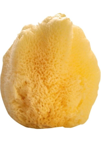 Doğal Deniz Süngeri, Bebek Boyu, Sağlıklı ve Yumuşak Temizlik Için Ideal