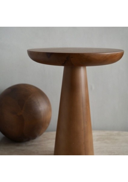 Mantar Sehpa Natural fiyatları