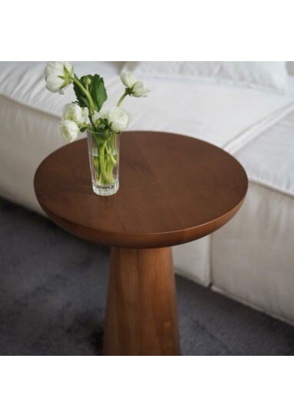 Mantar Sehpa Natural modelleri