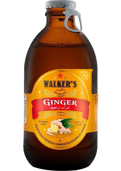 Zencefilli Gazoz Carbonated Ginger Beverage 250 ml