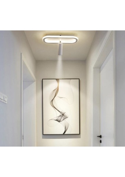 Siyah Spotlu Oval 40X16CM 3000K Işık Rengi, Kuamndalı LED Tavan Lambası,oval Avize,modern Aydınlatma,dekoratif Işık