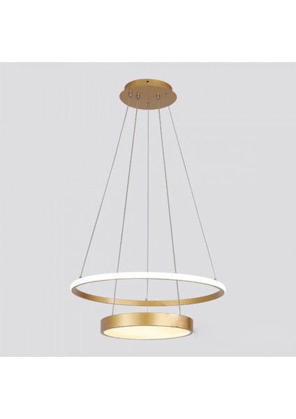 Gold Ø60CM, 3000K Işık, Kumandalı, Halka Davul Avize, Sarkıt Modern Aydınlatma, Dekoratif Işık fırsatları