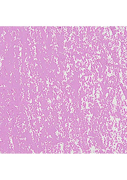 Neopastel Yumuşak Yağlı Pastel Light Purple Violet 101 fırsatları