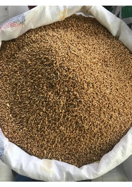 Tane Buğday 3 kg – Güvercin ve Kümes Hayvanlarına Özel Yem