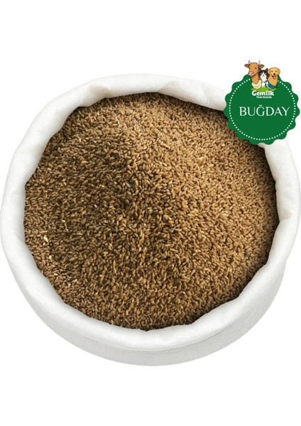 Tane Buğday 3 kg – Güvercin ve Kümes Hayvanlarına Özel Yem fiyatları
