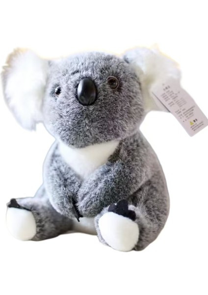 30CM Avustralya Küçük Koala Koala Ayı Peluş Oyuncak (Yurt Dışından)