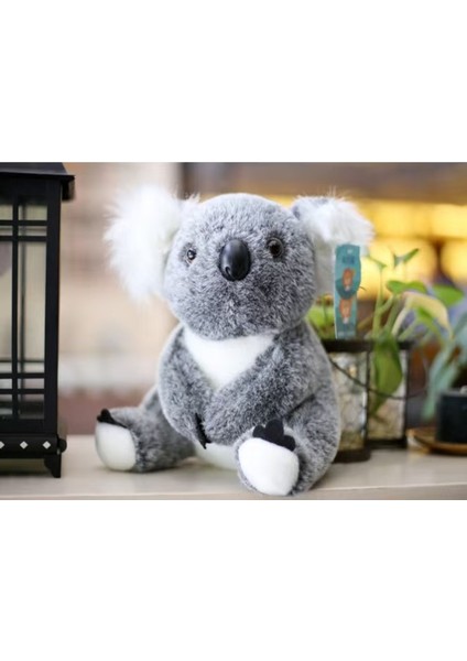 30CM Avustralya Küçük Koala Koala Ayı Peluş Oyuncak (Yurt Dışından) modelleri