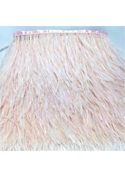 Pudra Pembe Devekuşu Tüyü 60 Cm, Doğal ve Şık Dekoratif Ürün