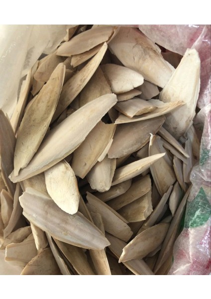 Kuşlar Için Mürekkep Balığı Kemiği Kalamar Kemiği 100GR fiyatları