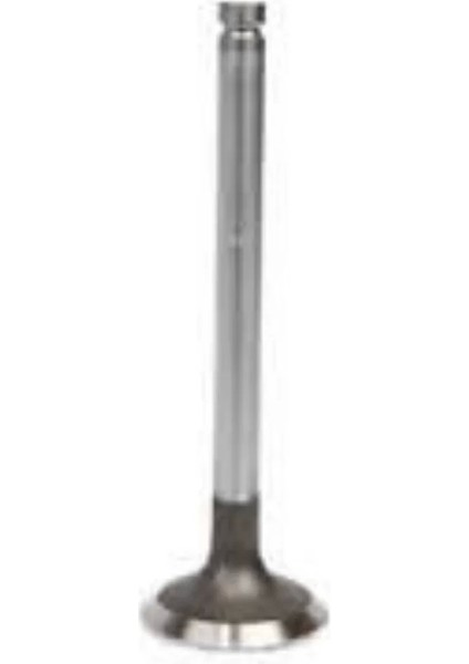 Subap Egzoz 6 mm 8 Li Set – 3C0919050 Autolux – Opel Astra F G H Vectra A B 93 ve Sonrası Uyumlu