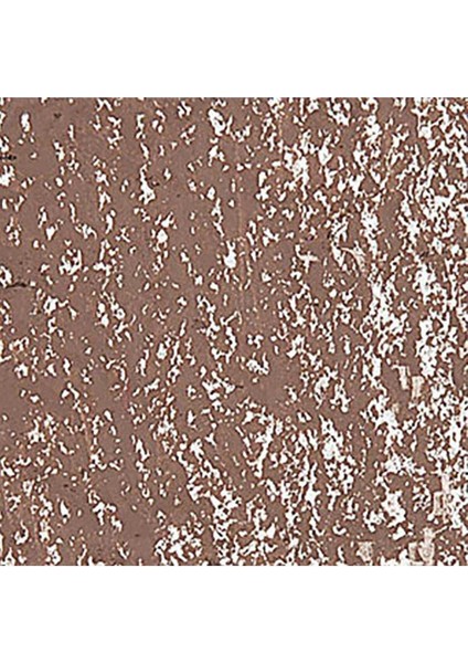 Neopastel Yumuşak Yağlı Pastel Mahogany 067 fırsatları